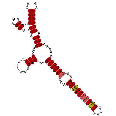 secondary structure