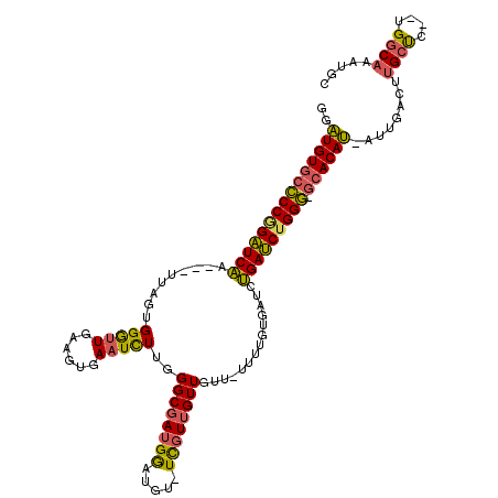 secondary structure