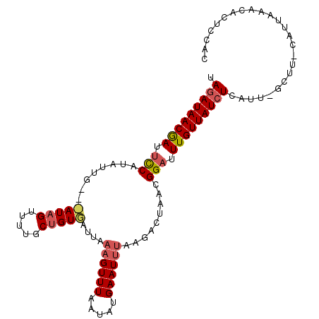 secondary structure