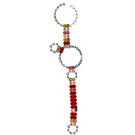 secondary structure