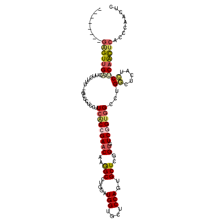 secondary structure