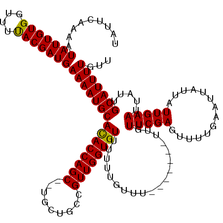 secondary structure