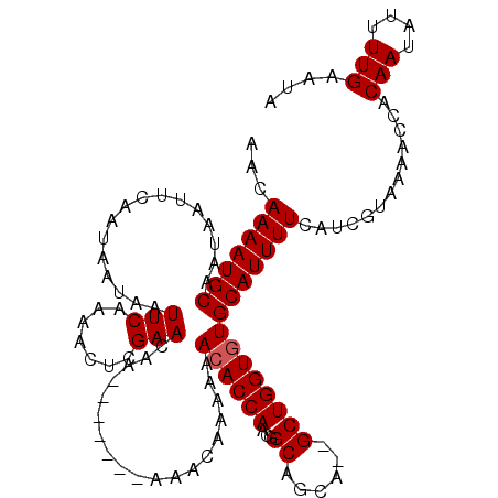secondary structure
