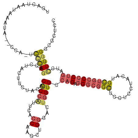 secondary structure