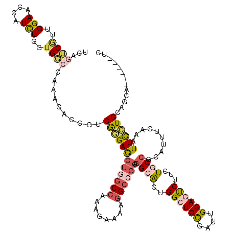 secondary structure