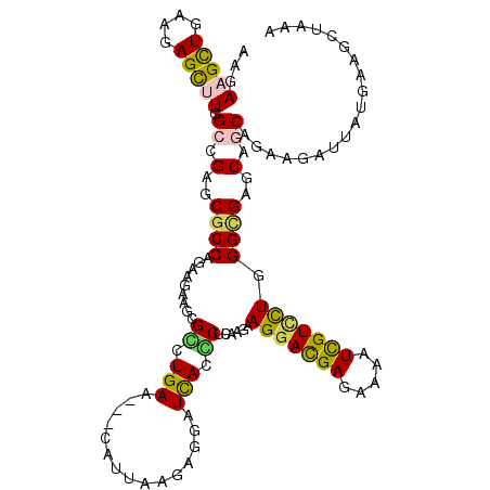 secondary structure