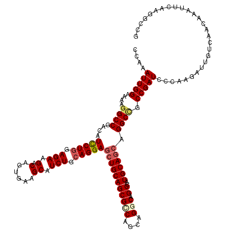 secondary structure