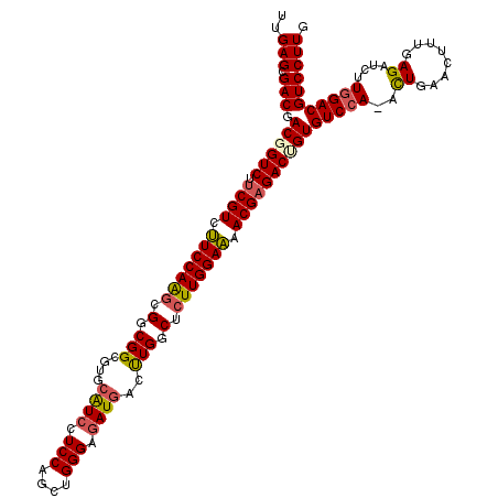 secondary structure