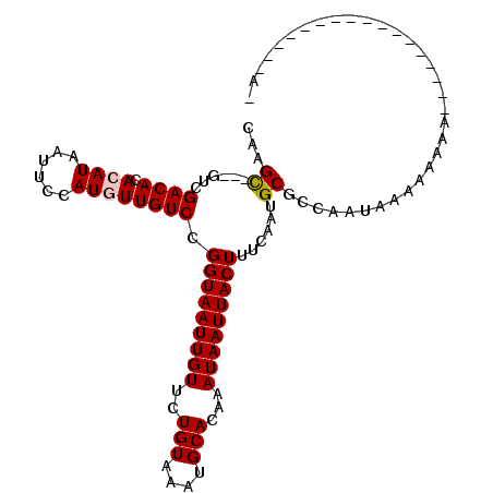 secondary structure