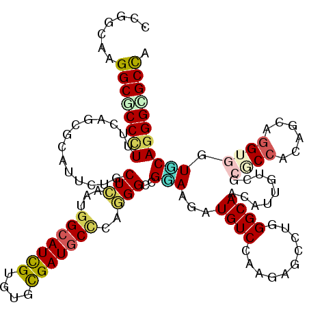 secondary structure
