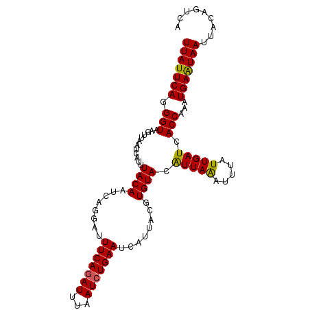 secondary structure