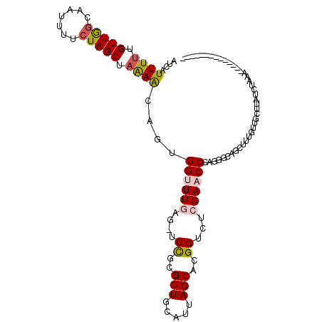 secondary structure