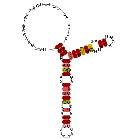 secondary structure
