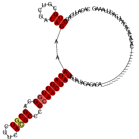 secondary structure