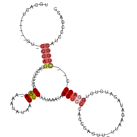 secondary structure
