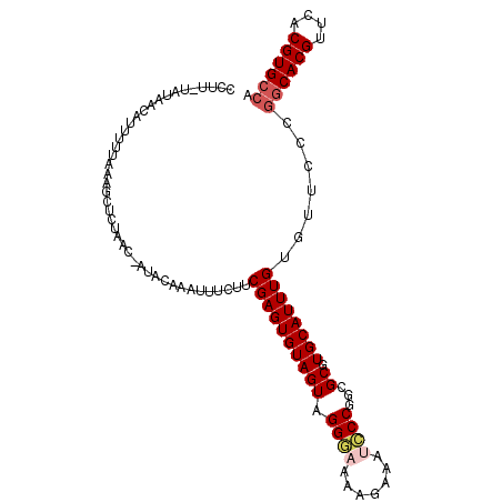 secondary structure