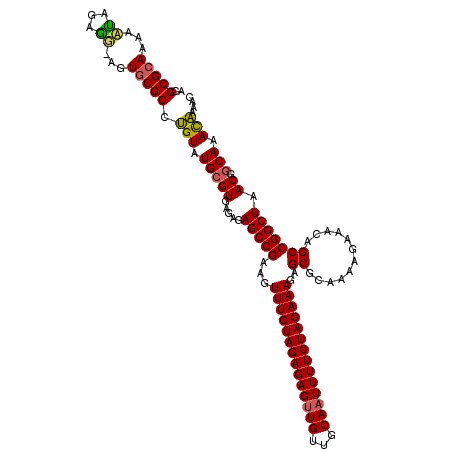 secondary structure