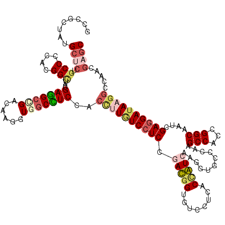 secondary structure