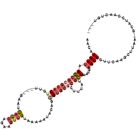 secondary structure