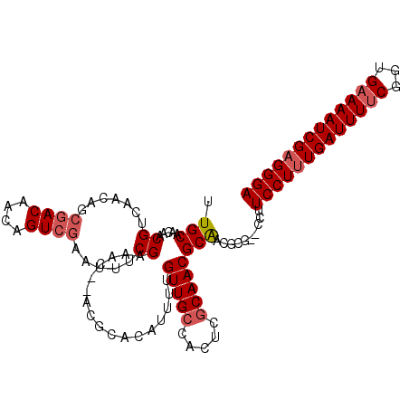 secondary structure