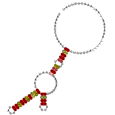 secondary structure