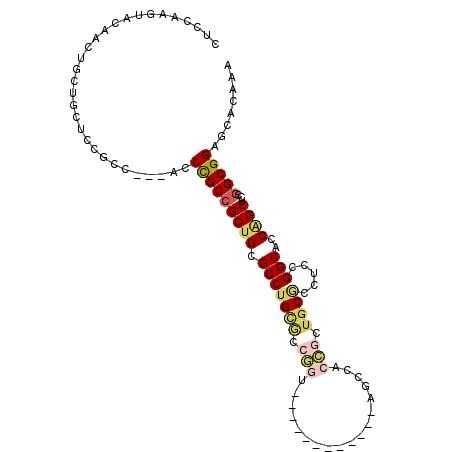 secondary structure