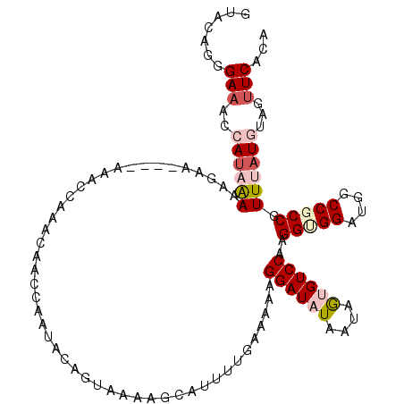 secondary structure