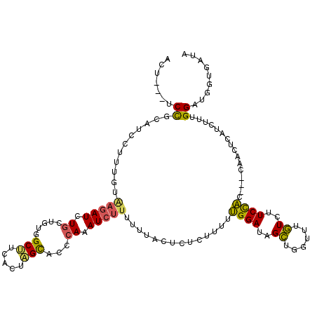 secondary structure