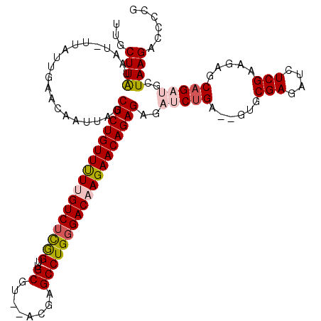 secondary structure
