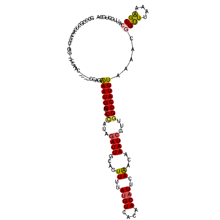secondary structure