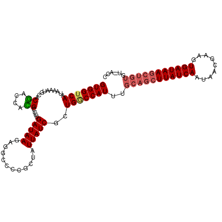 secondary structure