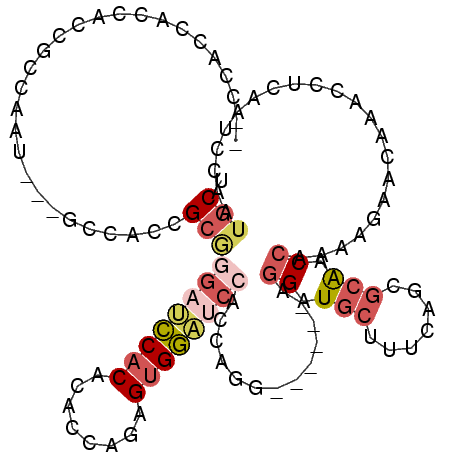 secondary structure