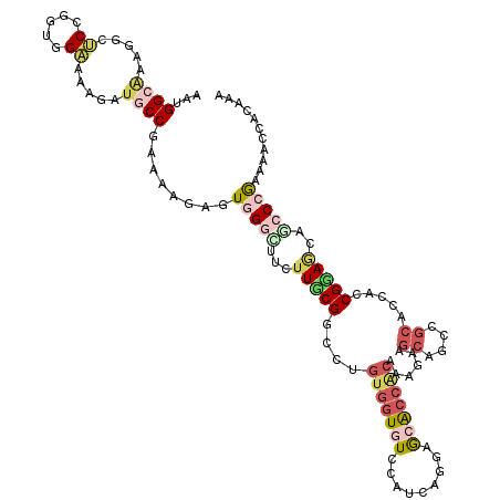 secondary structure