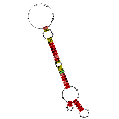 secondary structure