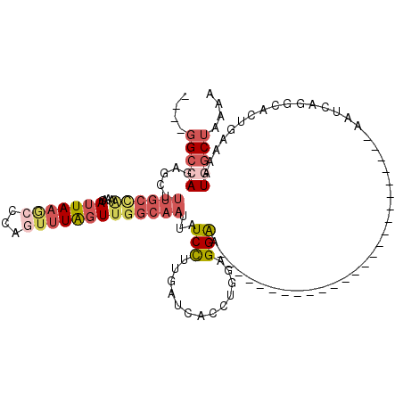 secondary structure