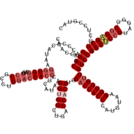 secondary structure