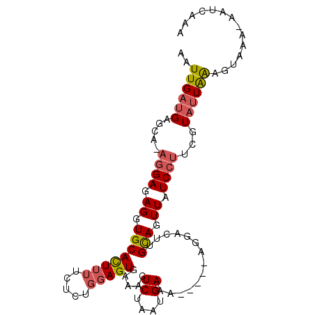 secondary structure