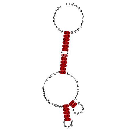 secondary structure