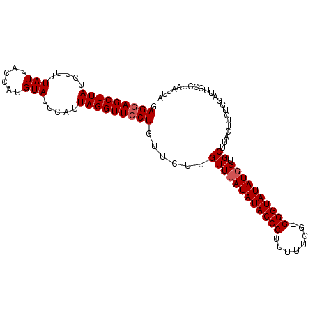 secondary structure