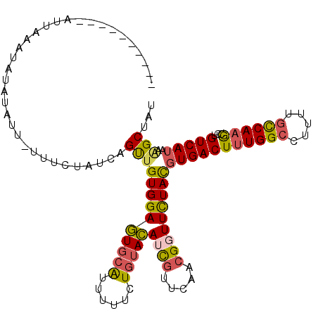 secondary structure