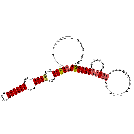 secondary structure