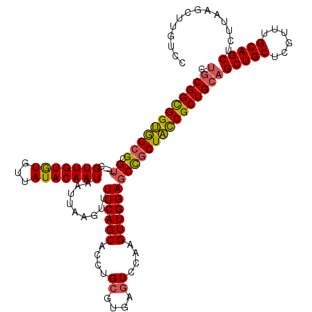 secondary structure