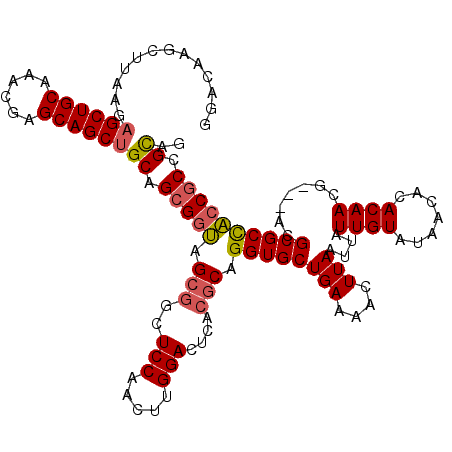 secondary structure