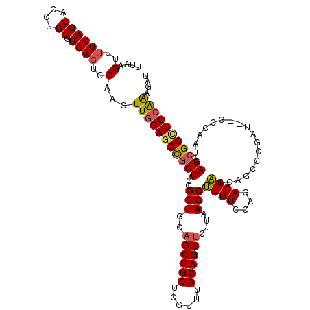 secondary structure