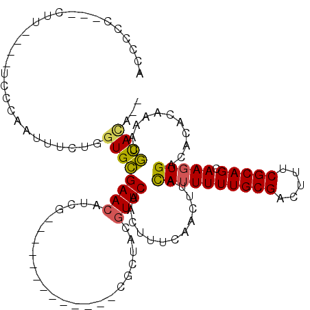 secondary structure