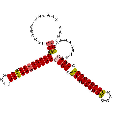 secondary structure