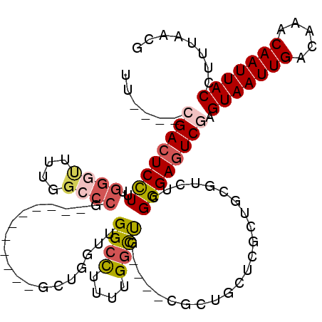 secondary structure
