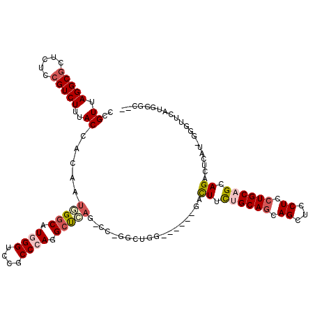 secondary structure
