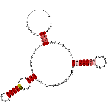 secondary structure
