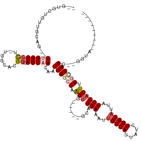 secondary structure